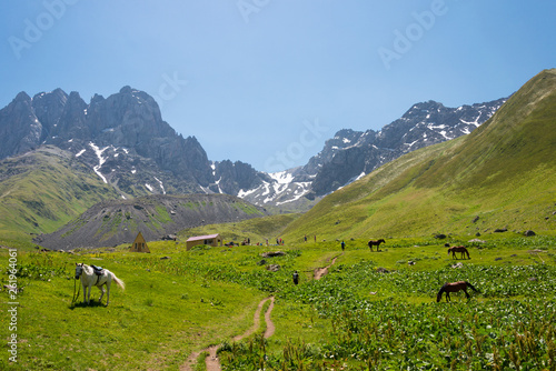 Kazbegi, Georgia - Jul 03 2018: Juta valley near Caucasus mountain. a famous landscape in Kazbegi, Mtskheta-Mtianeti, Georgia. © beibaoke