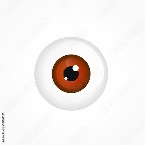 Auge, Augapfel, braun