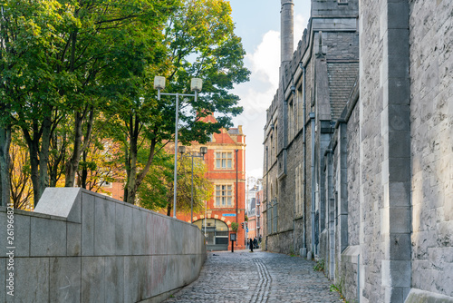 Exterior view of the Christ Church Cathedral and Dublinia photo