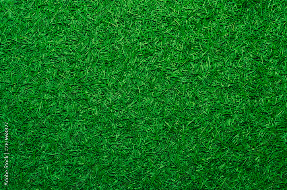 Green background of the Christmas tree needles Green background of the Christmas tree needles