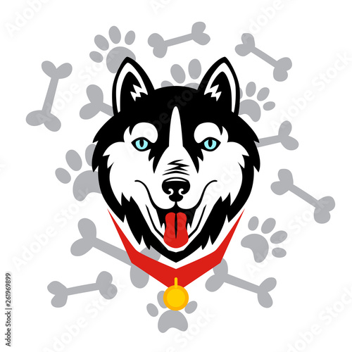 Husky head dog, bone, paw vector design.