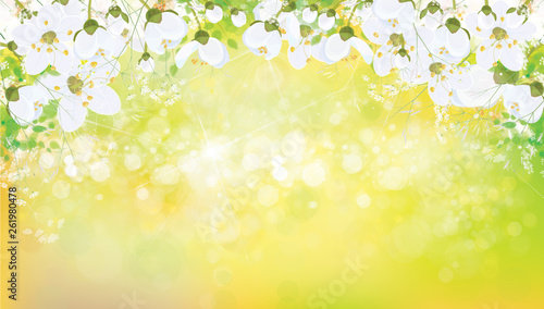 Vector spring floral background.