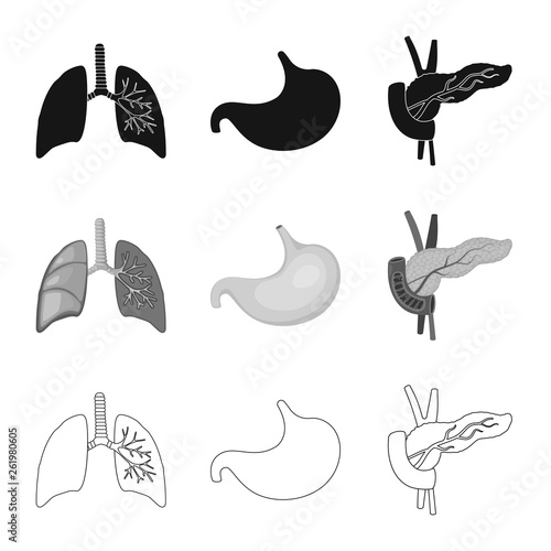 Isolated object of biology and scientific sign. Collection of biology and laboratory stock vector illustration.