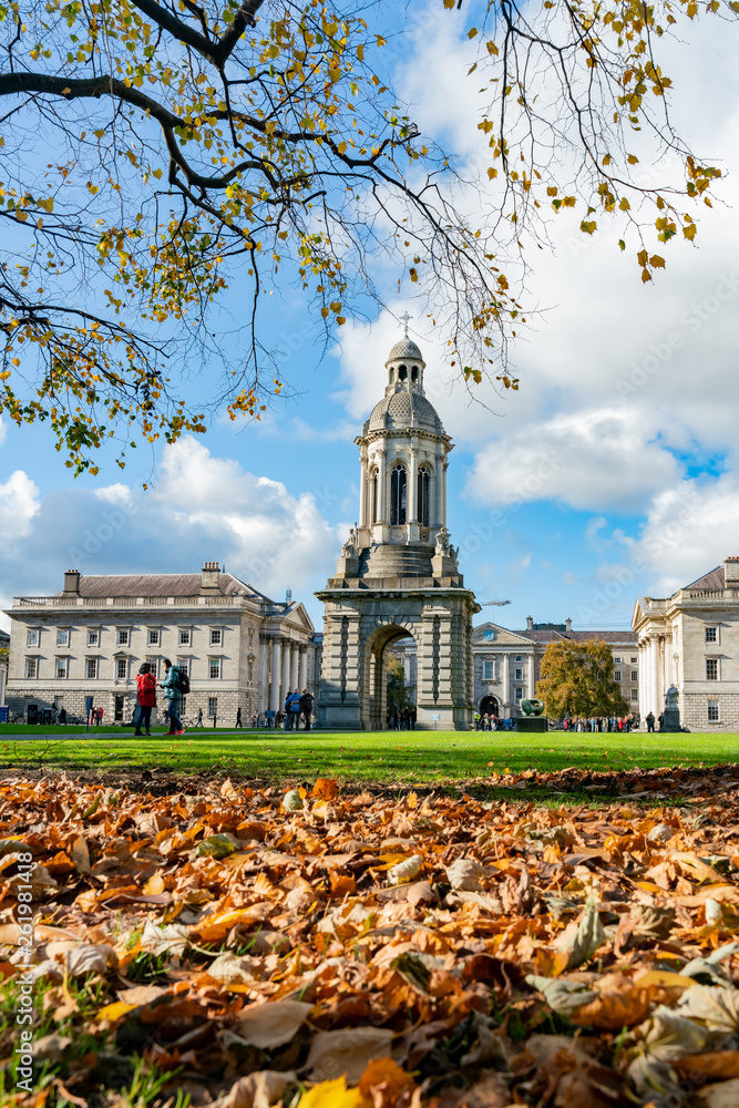 Fototapeta premium Campanile z Trinity College w jesiennym kolorze