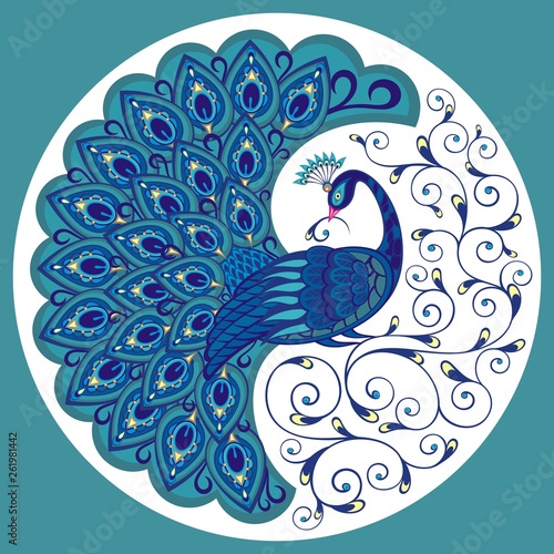 Peacock drawing fantasy bird