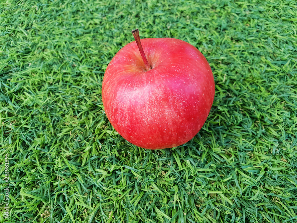 Fruit red Apple on green grass. Open space. Fruit red Apple on green grass. Open space.