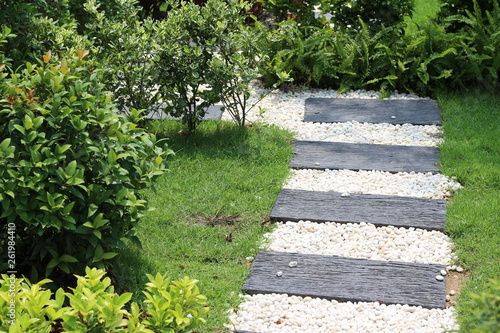 Landscape of path in garden.