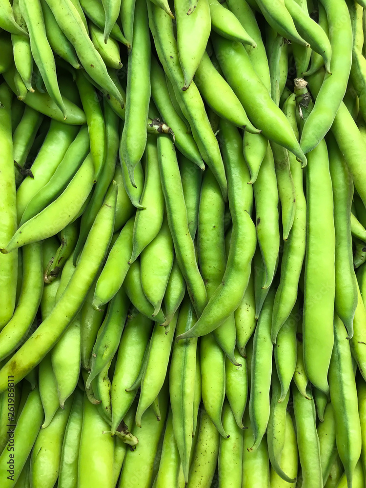Background fresh green beans. Bean pods on market. Bean pods texture Background fresh green beans. Bean pods on market. Bean pods texture