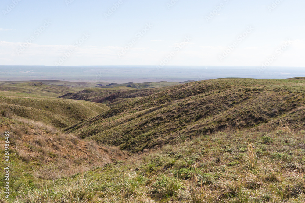 spring in the steppe of Kazakhstan