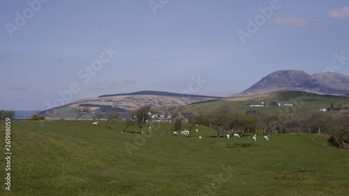 Frühlingslandschaft mit Bergen und Tälern auf der Insel Arran, Schottland