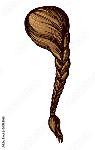 Long braid. Vector drawing