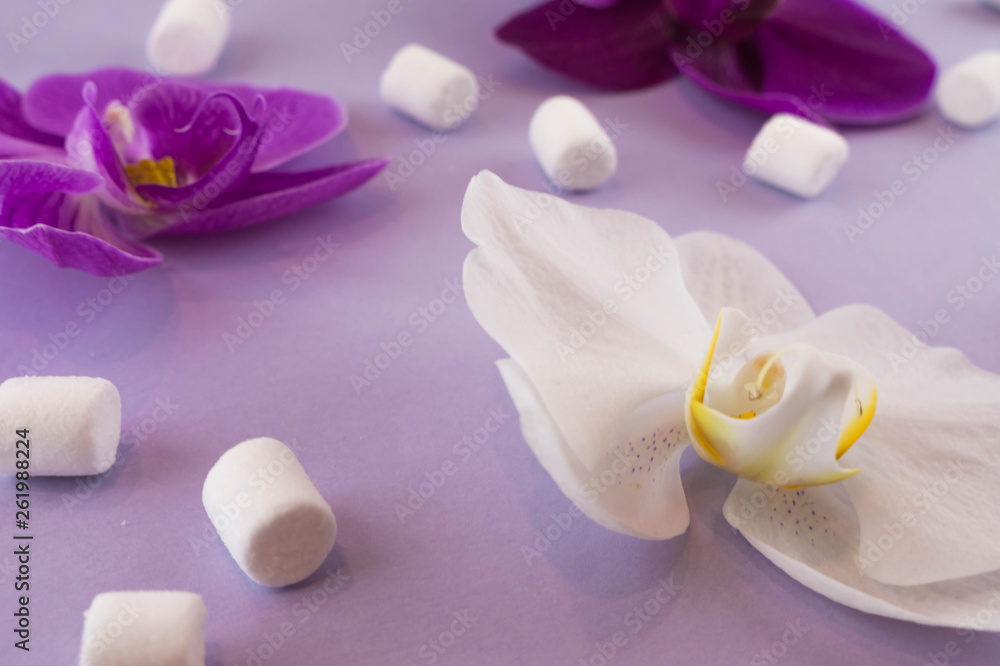 Violet paper background with white and purple orchids, and with marshmallows. Flat lay. Place for text.