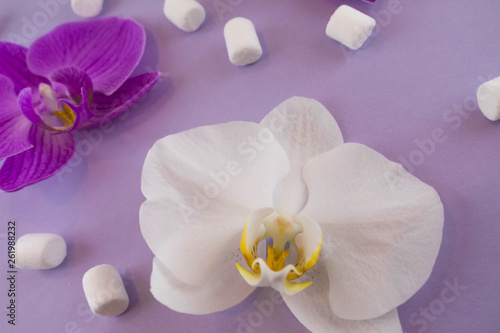 Violet paper background with white and purple orchids  and with marshmallows. Flat lay. Place for text.