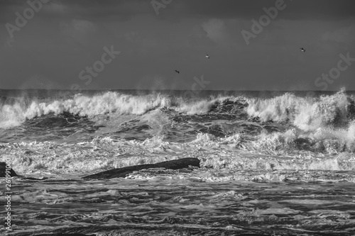 Ondas do mar em tempos de tempestade junto á costa, a preto e branco.