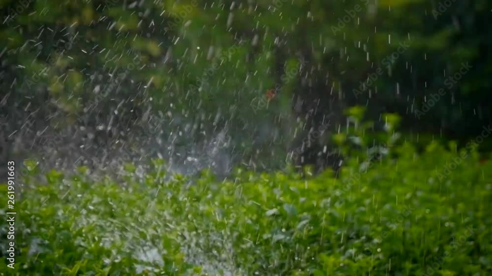 Man working with gasoline lawn trimmer
