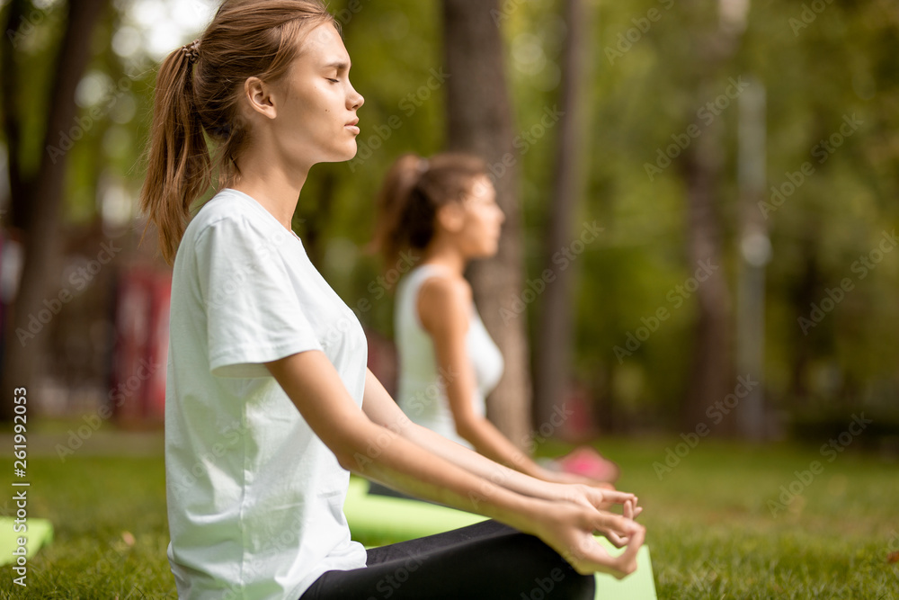 Fototapeta premium Two young slim girls sit in the lotus positions with closing eyes doing yoga on yoga mats on green grass in the park on a warm day