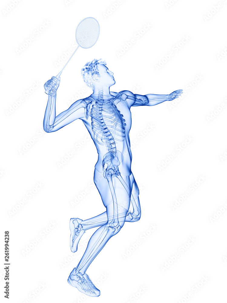 3d rendered medically accurate illustration of the skeleton of a badminton player 3d rendered medically accurate illustration of the skeleton of a badminton player