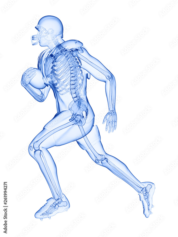 3d rendered medically accurate illustration of the skeleton of an american football player 3d rendered medically accurate illustration of the skeleton of an american football player