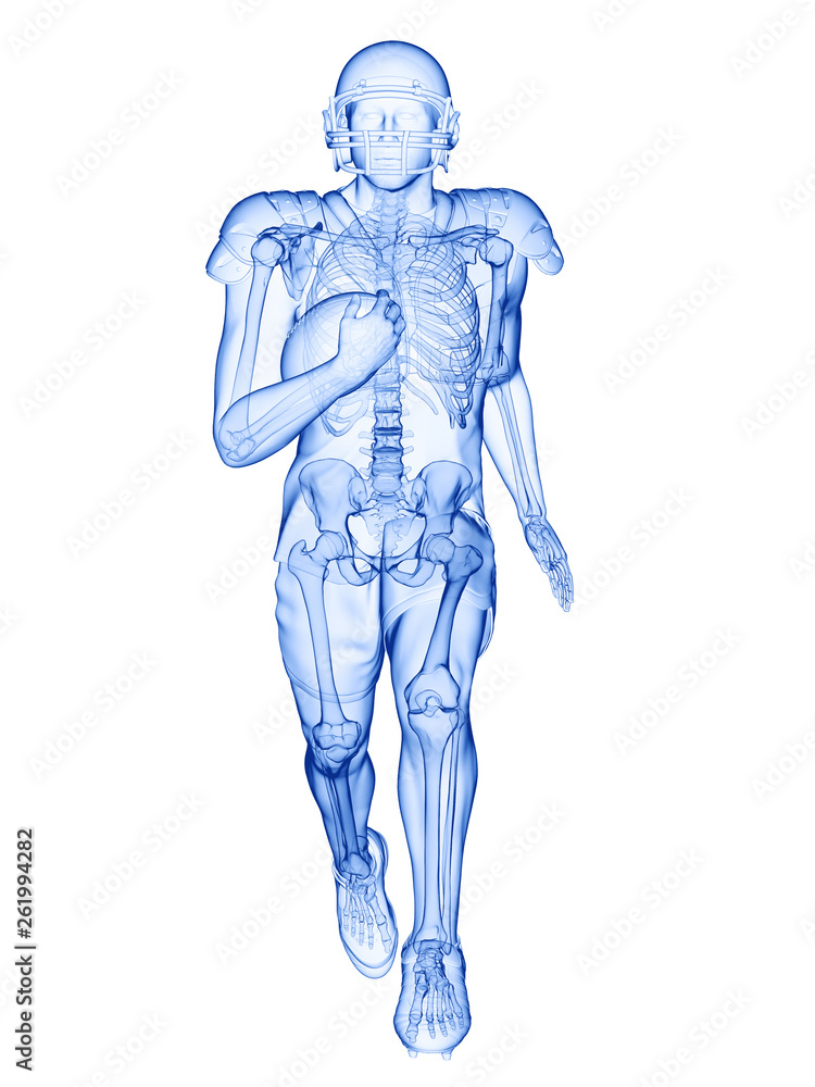 3d rendered medically accurate illustration of the skeleton of an american football player 3d rendered medically accurate illustration of the skeleton of an american football player