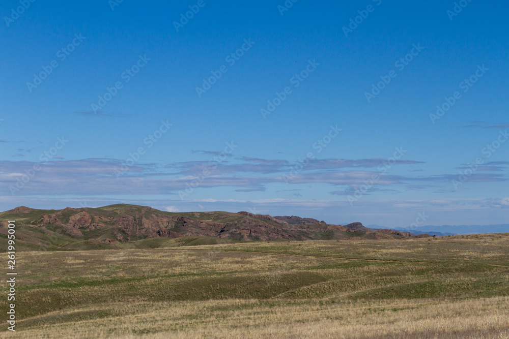 spring in the steppe of Kazakhstan spring in the steppe of Kazakhstan