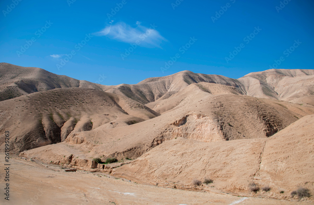 Hills of the Negev Desert in Israel. Breathtaking landscape of the desert rock formations in the Southern Israel Desert.