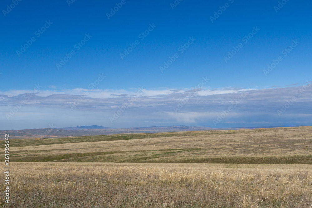 spring in the steppe of Kazakhstan spring in the steppe of Kazakhstan