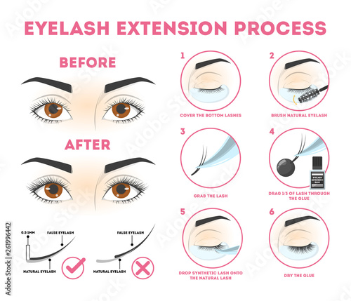 Eyelash extension guide for woman. Infographic with eyelashes