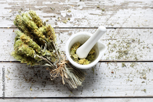 Obraz na plátně Mountain tea, sage Lebanese,  dried medicinal herbs