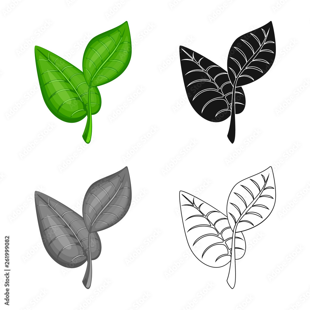 Isolated object of leaf and plants icon. Set of leaf and green stock vector illustration. Isolated object of leaf and plants icon. Set of leaf and green stock vector illustration.