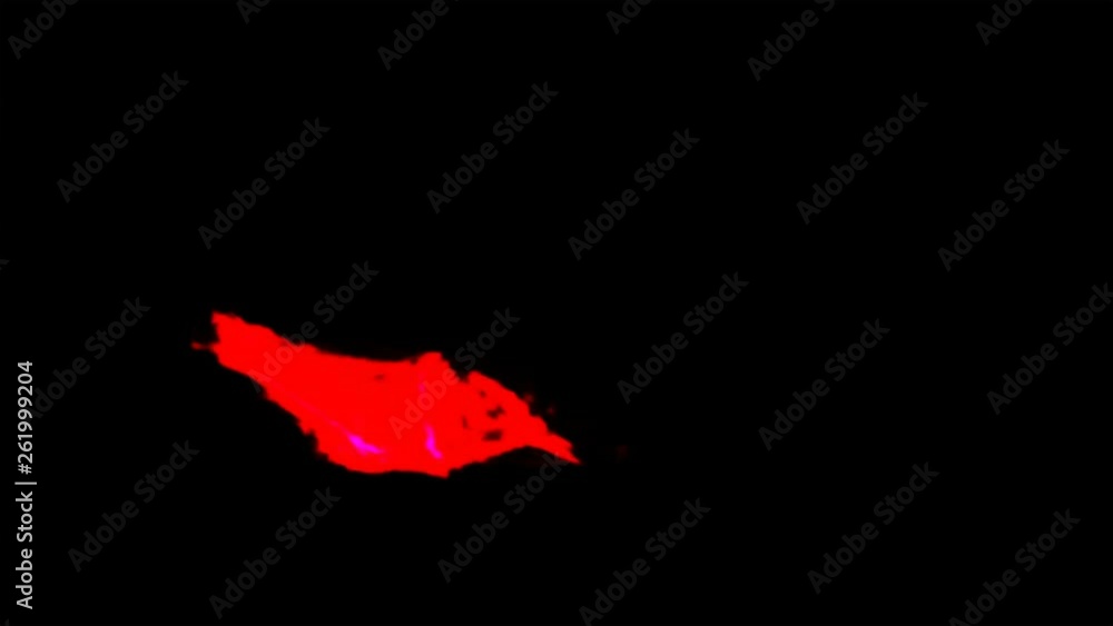 Red streaks light abstract animation background. Seamless Loop Red streaks light abstract animation background. Seamless Loop