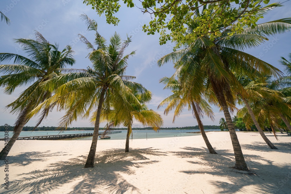 Obraz premium Tropical Palms Trees on White Sand Beach. Nobody on a Beautiful Beach. Summer Holiday Background.