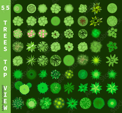 Different trees top view. View from above set for architectural and landscape natural green space design. Vector
