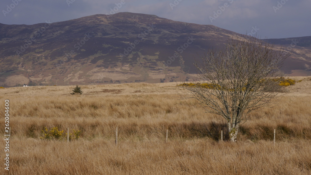 Frühlingslandschaft mit Bergen und Tälern auf der Insel Arran, Schottland