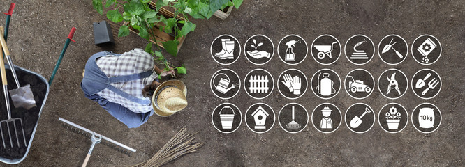 man work in the vegetable garden place a plant in the ground, icons and symbols of gardening equipment, top view