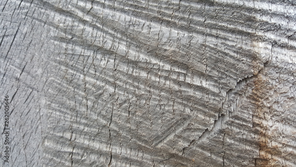 Fototapeta premium Wooden texture 