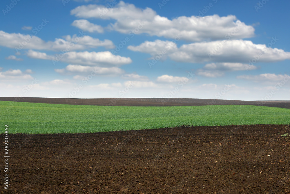 Plowed and green wheat field in spring agriculture Voivodina Serbia landscape Plowed and green wheat field in spring agriculture Voivodina Serbia landscape