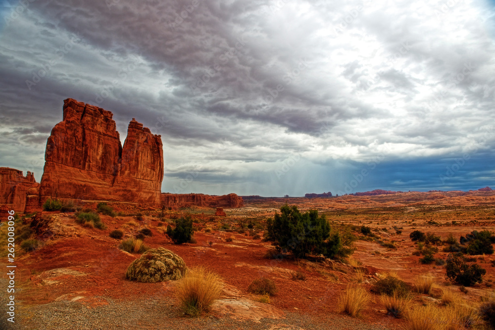 Arches National Park Landscape with The Organ