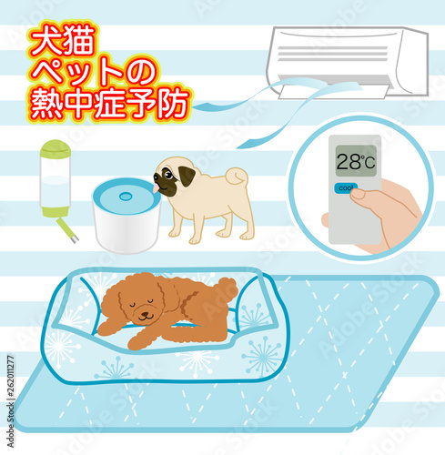 犬猫ペットの夏バテ熱中症予防対策グッズ