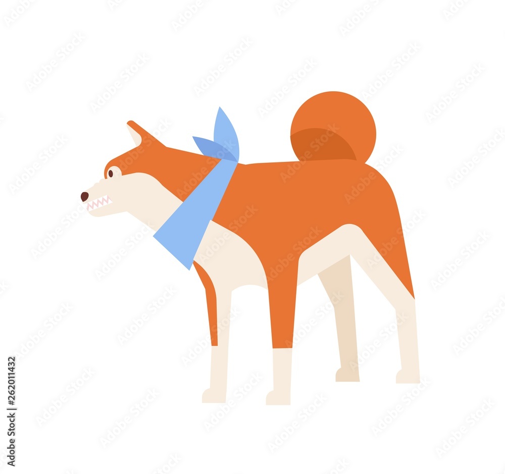 Angry or aggressive Akita Inu with bared teeth. Furious dog of Japanese breed growling isolated on white background. Daily life of domestic animal or pet. Flat cartoon colorful vector illustration. Stock Vector | Angry or aggressive Akita Inu with bared teeth. Furious dog of Japanese breed growling isolated on white background. Daily life of domestic animal or pet. Flat cartoon colorful vector illustration. Stock Vector |