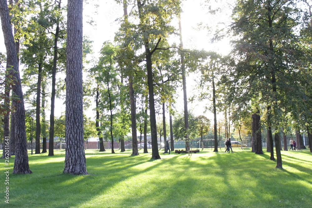 Obraz premium alley in the park