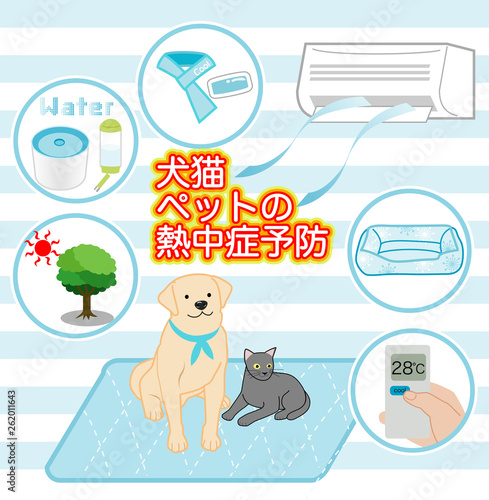 犬猫ペットの夏バテ熱中症予防対策グッズ