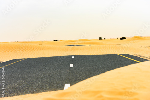 Photography (Selective focus) Stunning view of a deserted road covered by sand dunes