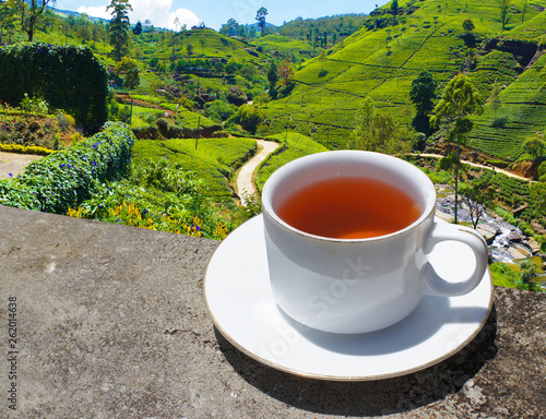 Sri Lanka tea hills. Tea cup and plantation.