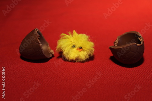 Easter chick hatched out of Chocolate Egg on a red cloth