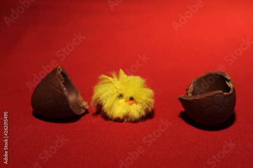 Easter chick hatched out of Chocolate Egg on a red cloth