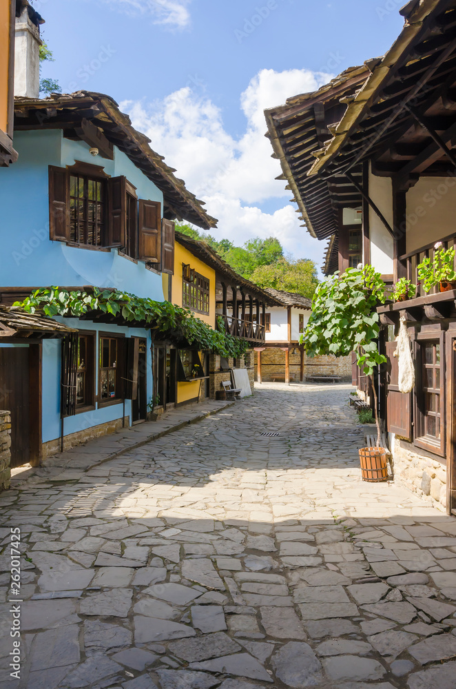 Obraz premium Historic houses along the street in the Architectural And Ethnographic Complex Etar - an open-air museum near the city of Gabrovo