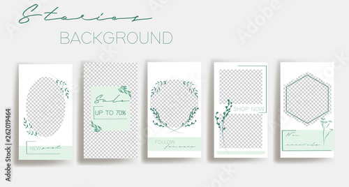 Green instagram stories frame templates. Vector background. Mockup for social media banner. Green branches layout design.