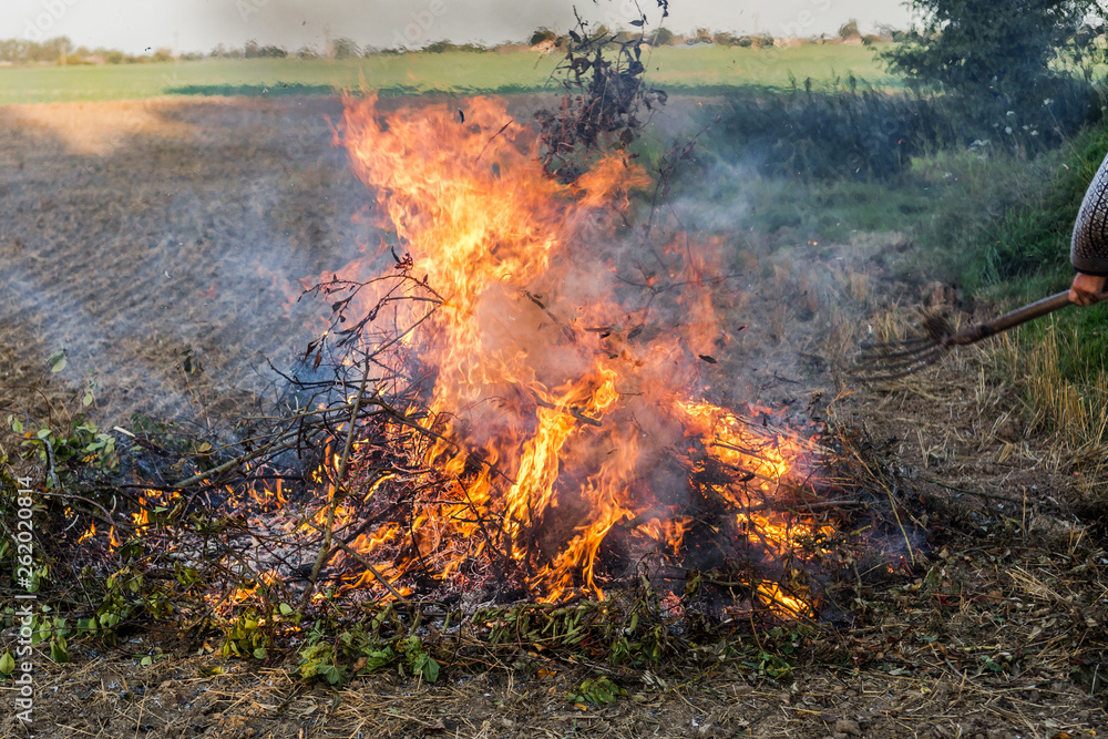Farmer burns green wastes in bonfire, agriculture and bonfire concept Farmer burns green wastes in bonfire, agriculture and bonfire concept