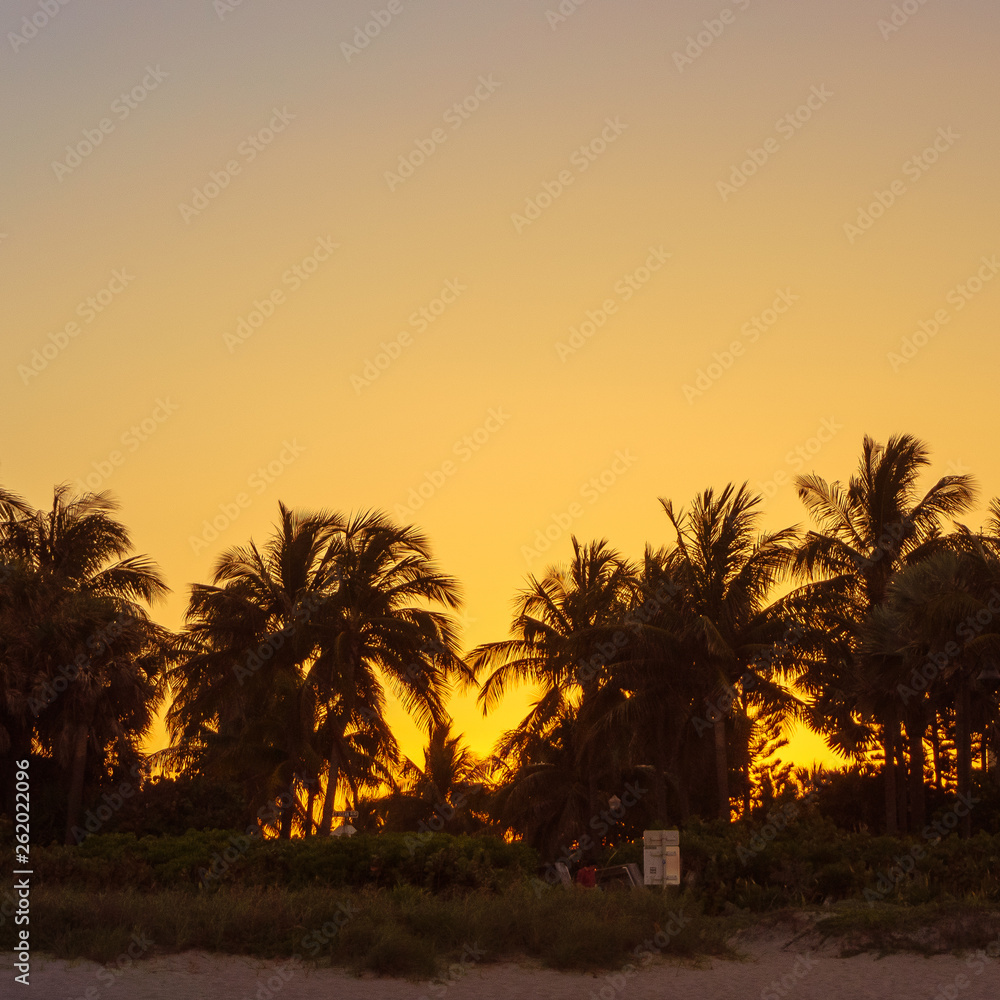 Beach sunset on Palm Beach Island