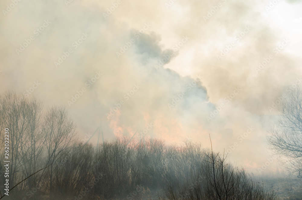 Strong fire and smoke, grass and reeds in flames.Black smoke. Strong fire and smoke, grass and reeds in flames.Black smoke.